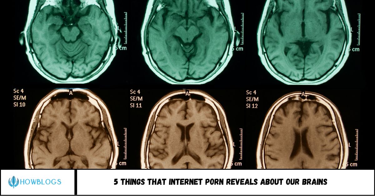5 Things That Internet Porn Reveals About Our Brains 5 Things That Internet Porn Reveals About Our Brains